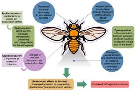 Insect Chemical Communication