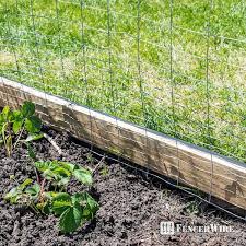 2 Ft X 50 Ft 16 Gauge Galvanized Rabbit Guard Garden Fence Welded Wire Fence