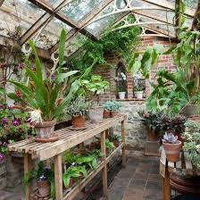 Garden Greenhouse