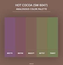 Sherwin Williams Hot Cocoa Sw 6047