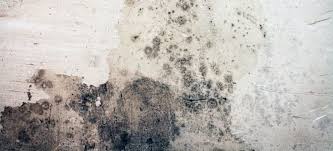 Concrete Basement Walls