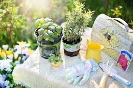 How To Make Your Own Indoor Herb Garden