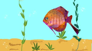 Animated Fish Tank Stock Footage
