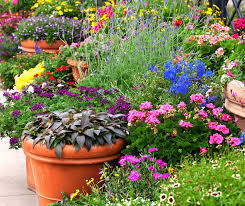 Spring Garden Tasks For A Happy Garden