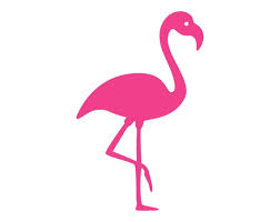 Flamingo Svg Australia