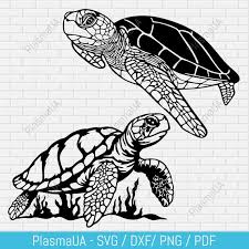 Turtles Svg Turtle Silhouette Turtles