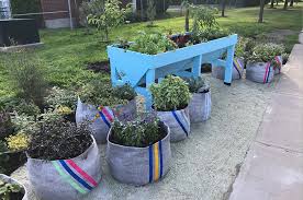 Vegetables And Herbs In Containers