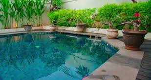 Swimming Pool And Tropical Garden Green