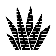 Zebra Cactus Glyph Icon Haworthia