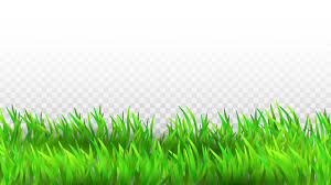 Grass Growing Vector Art Png Images