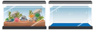 Free Vector Aquarium Tank With Fishes