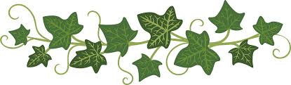 Greenery Wall Vector Images Over 1 200