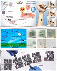 skin interfaced electronics a