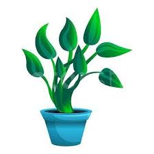 Botanical Plant Pot Icon Cartoon