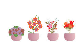 Flower Icon Set Graphic By Hokkistudio