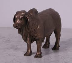 Bronze Brahman Bull Desktop Version