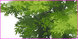 How To Draw Various Foliage With A