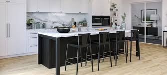 Black And White Kitchens