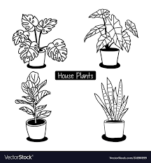 Houseplant In Pot Hand Draw Sketch