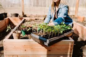 Complete Raised Bed Gardening Guide For