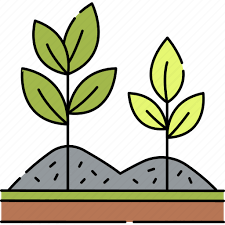 Gardening Mulching Planting Plant