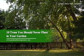 10 Trees You Should Never Plant In Your