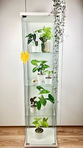 Ikea Detolf Cabinet Handle Anthurium