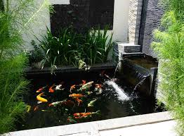 Raised Pond Waterfall Ideas Tranquil