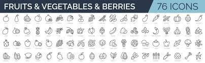 Vegetable Icons Images Browse 951 961