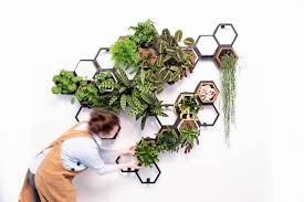 Horticus Modular Living Wall Breathes