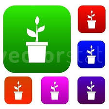 Plant In Clay Pot Set Icon In Diffe
