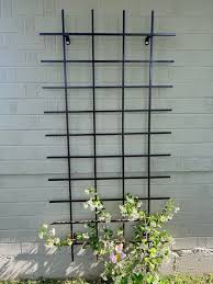 Wall Mount Metal Garden Trellis 72x36