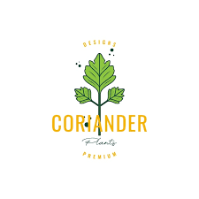 Coriander Spice Cooking Food Kitchen