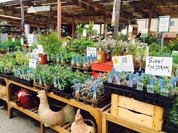 Sloat Garden Center Is Staying Put