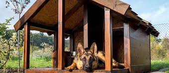 20 Of The Best Free Diy Dog House Plans