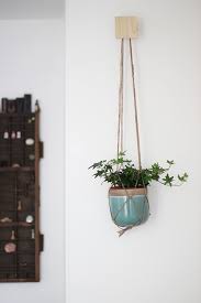 Create A Wall Of Plants Growing Spaces