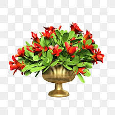 Flower Pots Png Transpa Images Free