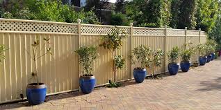 Garden Hedge With A Fence