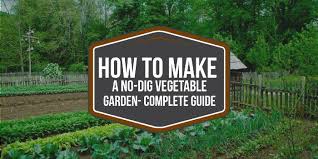 How To Make A No Dig Vegetable Garden
