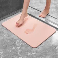 Diatomaceous Earth Bath Mat Review
