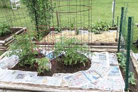 Pros And Cons Of Using Landscape Fabric
