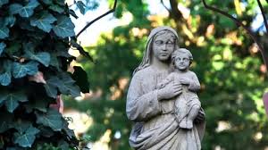 Statue From Mary Stock Footage