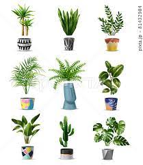Home Plants Icon Setのイラスト素材