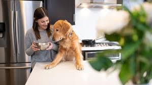 Dry Dog Food For Picky Eaters