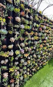 Vertical Succulent Living Wall Garden Ideas