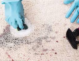 7 Best Carpet Deodorizer S To