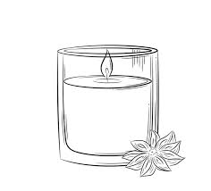 Hand Drawn Drawing Of An Anise Scented