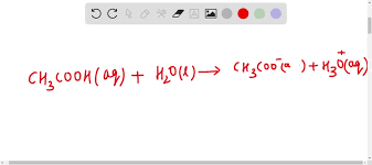 Equation To Show That Acetic Acid