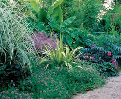 Designing With Spiky Plants Finegardening