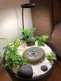 Indoor Fountain With House Plants